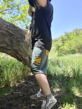 Load image into Gallery viewer, Large Tiger Pyramid Sworts OOAK